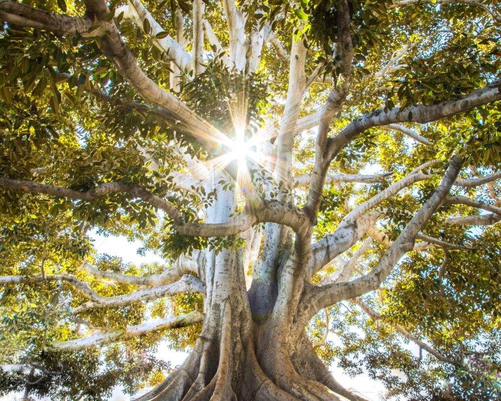 jeremy-bishop-EwKXn5CapA4-unsplash